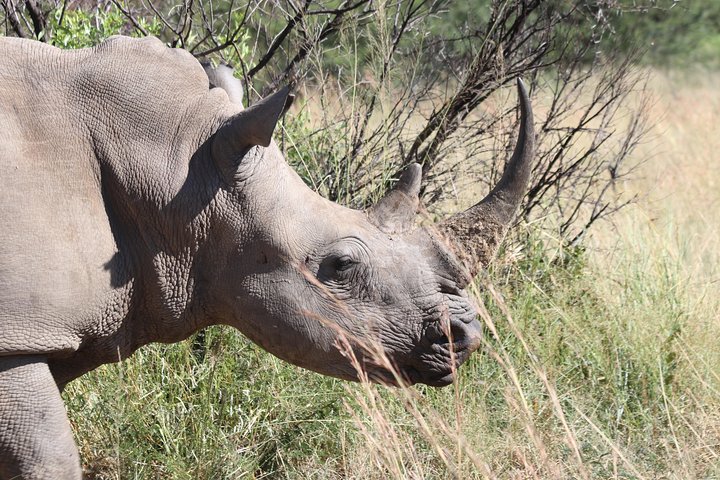 Rhino & Lion Nature Reserve y Wonder Caves