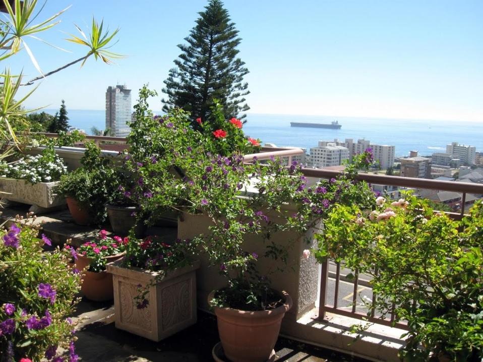 123 Ocean View Drive Apartment, Cidade do Cabo