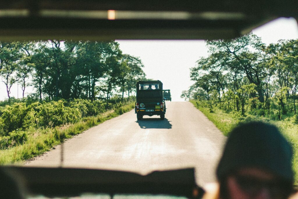 Safari vehicles travelling on a green Lowveld road near Hazyview