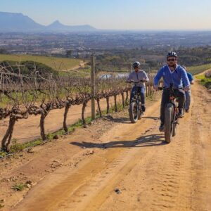 Winelands à vélo électrique