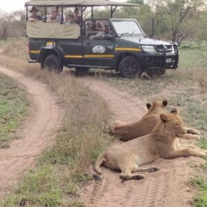 Tours de 5 días por el Parque Kruger, safari en Manyeleti y tour panorámico