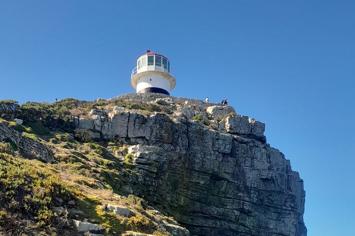 Tour privado a Cape Point, el Cabo de Buena Esperanza y los pingüinos