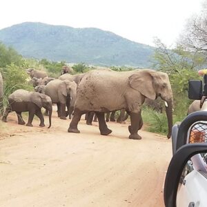 Safari de 2 días en Pilanesberg en un lodge de 4 estrellas