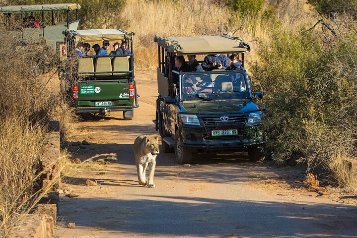 Tour de 3 días en autobús compartido por el Parque Nacional Pilanesberg