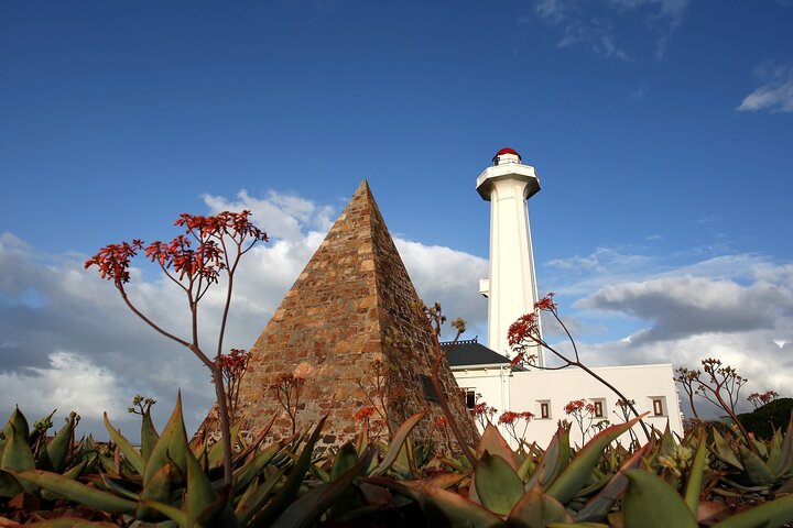Port Elizabeth: Safari und Stadttour ab Gqeberha