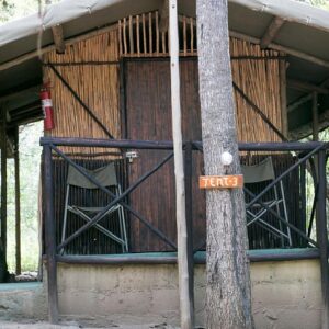 Бюджетное сафари в национальном парке Крюгера, 5 дней