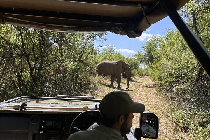 Big-Five-Safari-Abenteuer ab Johannesburg nach Dinokeng