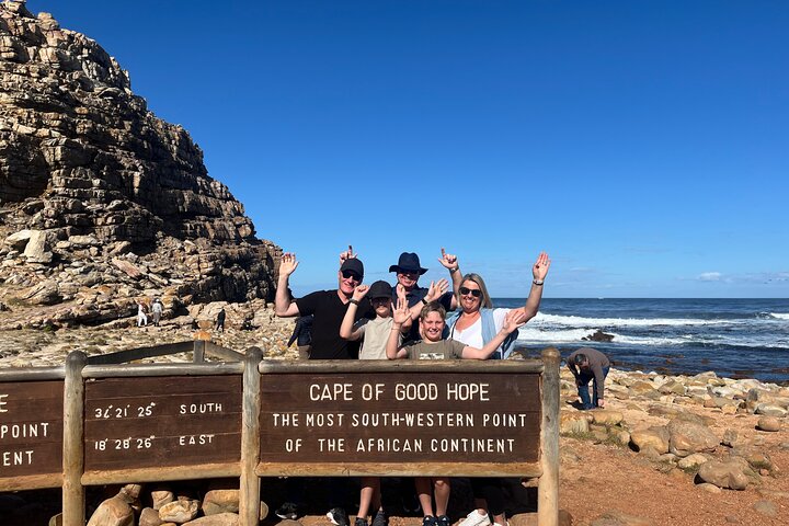 Experiencia privada: Cape Point, Cabo de Buena Esperanza y pingüinos