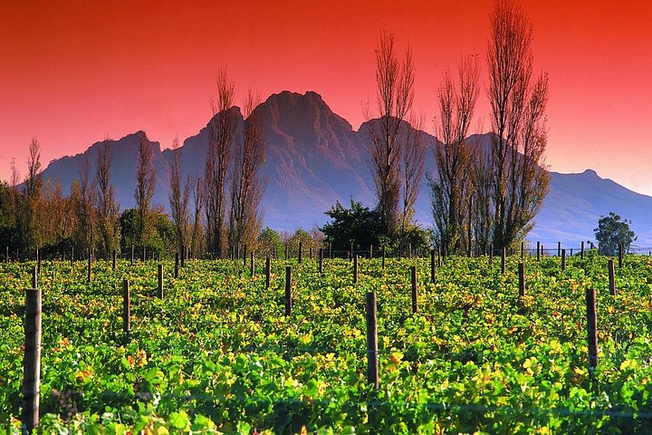 Cape Winelands y Garden Route - 5 días