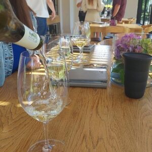 ¡Escapada de día completo por los vinos del Cabo!