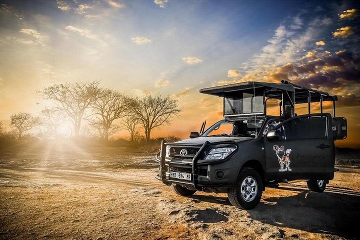Tour privato guidato del Parco nazionale Kruger