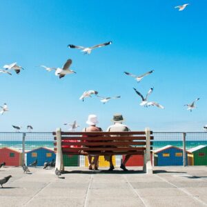 Alla scoperta dei tesori nascosti di Città del Capo