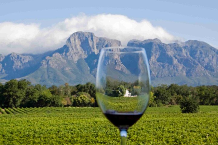 Tour privato di Cape Point e Groot Constantia con degustazione di vini