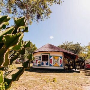Бюджетное сафари в Тимбавати, Крюгер, 3 дня