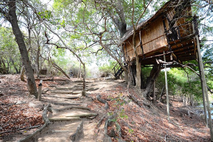 Safari nel Kruger National Park con lodge/Treehouse, 3 giorni