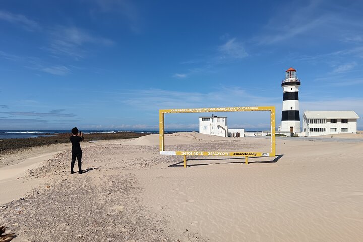 Tour costiero guidato di Port Elizabeth