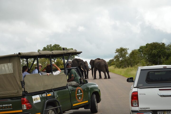 Transfer partilhado para Pilanesberg e safari de 3 horas