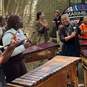 Attività culturale con marimba e percussioni a Johannesburg