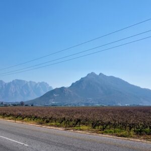 Tour privado: Ceres, valle del río Breede, Big Sky y Big 5 con vino