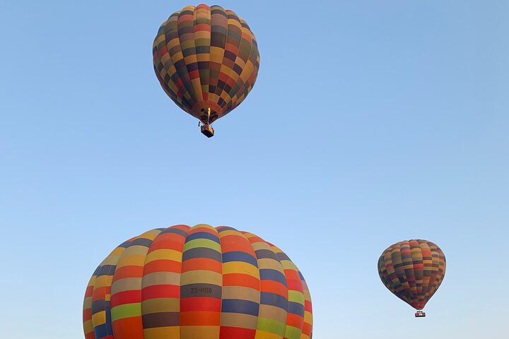 Experiência com animais de balão de ar quente