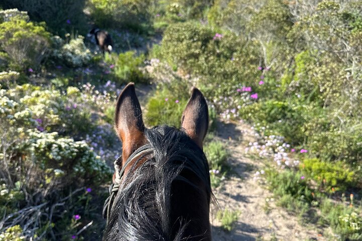 适合各级骑手的骑马游猎与文化体验