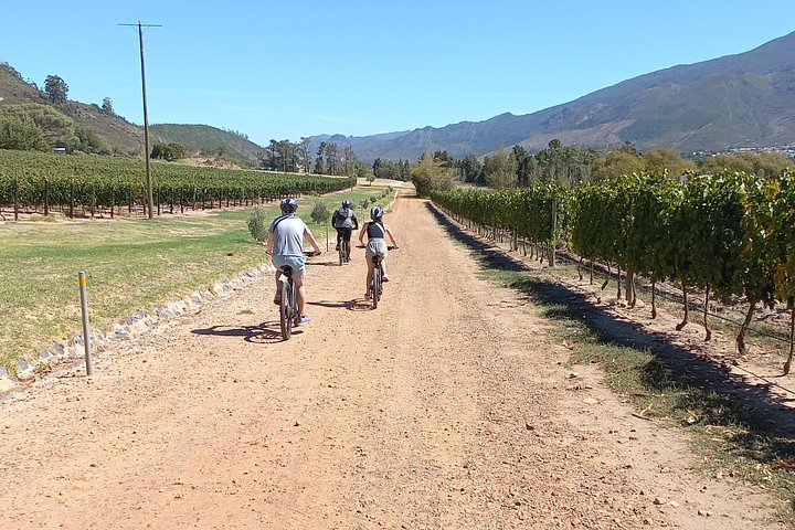 Tour condiviso in e-bike e vino a Franschhoek