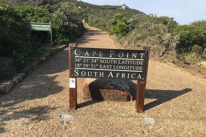 Tour privado de un día al Cabo de Buena Esperanza y los pingüinos de Boulders Beach