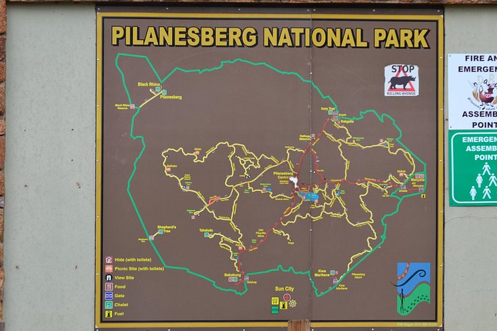 Private Tour zum Pilanesberg-Nationalpark ab Johannesburg / Sandton