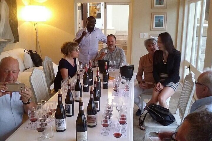 Cape Town:Wine experience and galery Private Tour