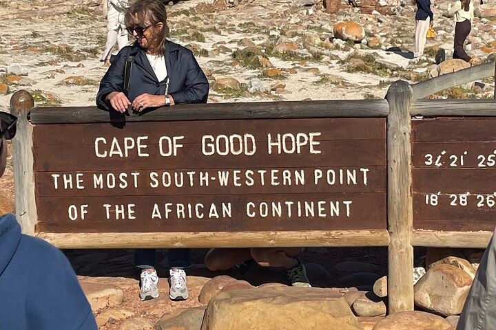 Tour de día completo a Cape Point: vistas panorámicas y visita a la colonia de pingüinos