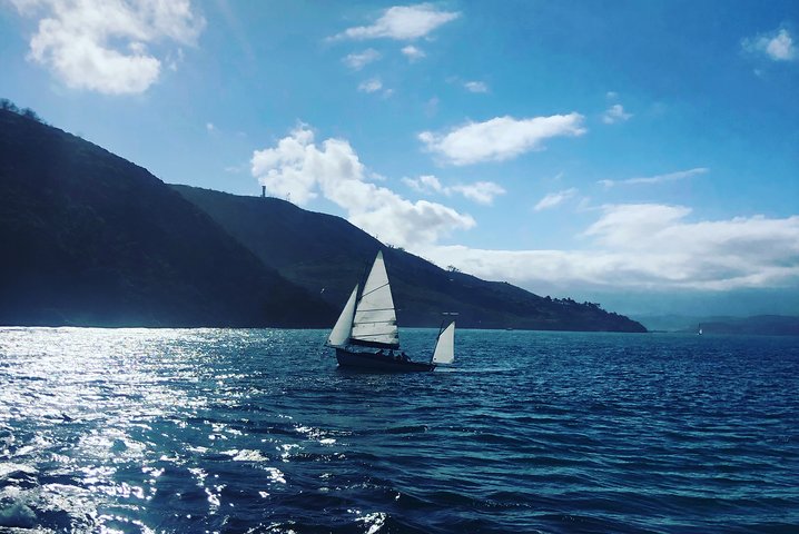Garden Route Explorer: viaje panorámico de 5 días