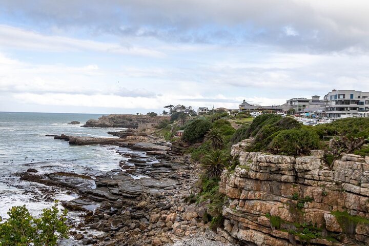 Tour privato di un'intera giornata a Hermanus