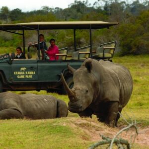 2-stündige geführte Pirschfahrt um 10:00 Uhr; Ticket Kragga Kamma Game Park