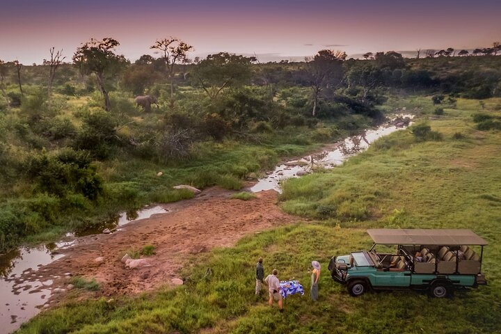 Сафари в парке Крюгера на целый или полдня | Посадка и высадка в Marloth Park