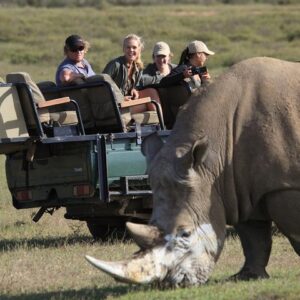 Tour privado por la Garden Route desde Ciudad del Cabo con safari en vehículo