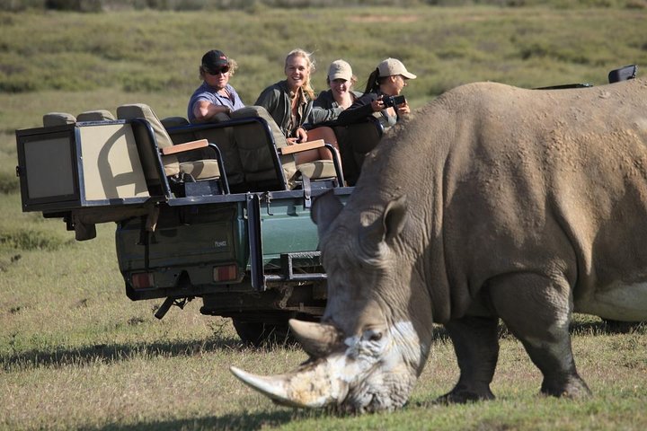 Private Garden-Route-Tour ab Kapstadt mit Pirschfahrt