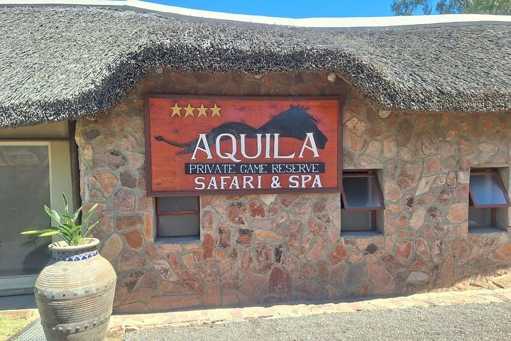 Wildlife Safari in Aquila Game Reserve, Cape Town