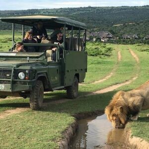 Safari de jour à la réserve Pumba Private Game Reserve