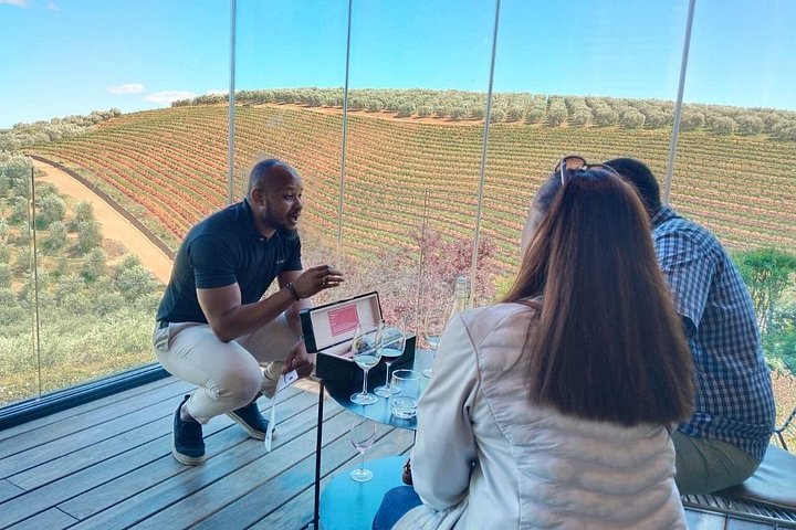 Private Weinprobe-Tour durch die Kap-Weinregion