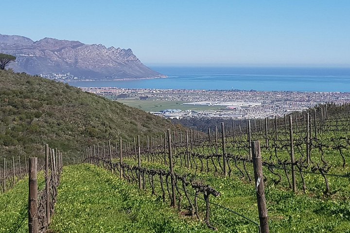 Excursão privada de prova de vinhos em Constantia, Cidade do Cabo