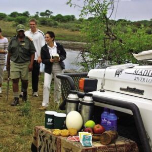 3 noites e 4 dias no Madikwe River Lodge, Madikwe Game Reserve, a partir de Joanesburgo e Pretória