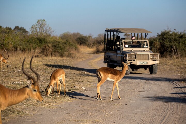Kapstadt: Private Big-Five-Safari-Tour