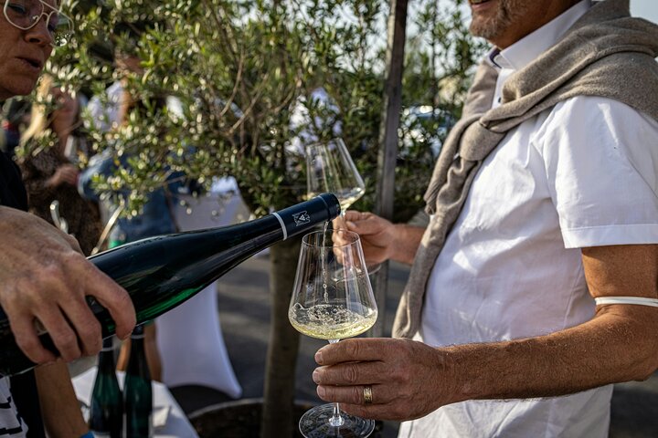 Tour guiado de día completo de cata de vinos por Stellenbosch y Franschhoek