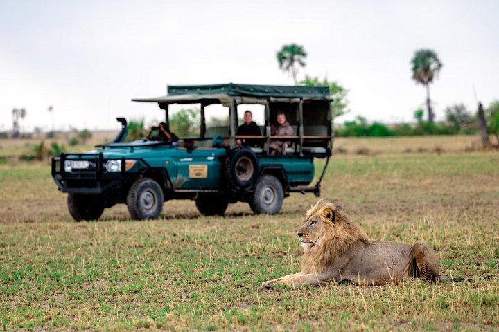 Private Guided Full Day Tour at Pilanesberg Safari