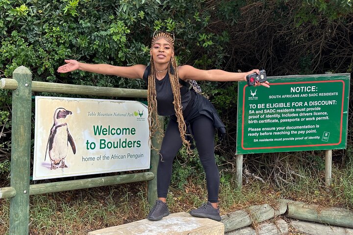 Boulders Beach a Città del Capo: nuotare con i pinguini e incontro ravvicinato, tour di mezza giornata