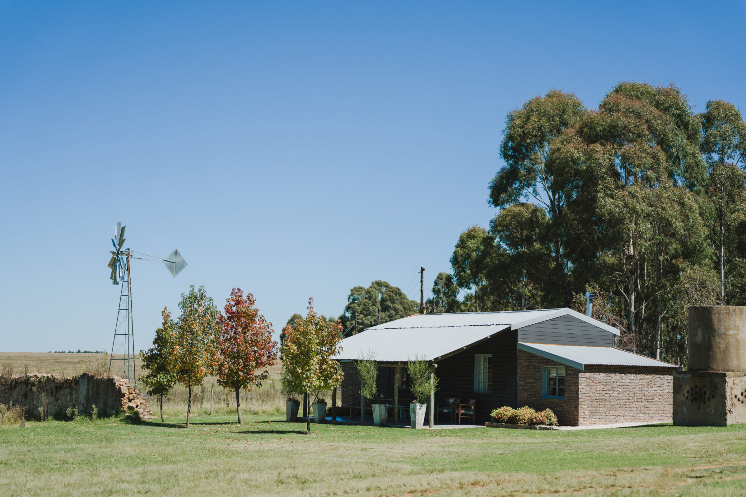 Acorn Guest Farm — Carolina,南非