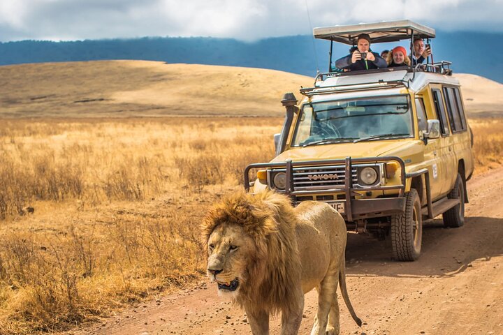 Tour del Big 5 Game Reserve di Hluhluwe Imfolozi da Durban
