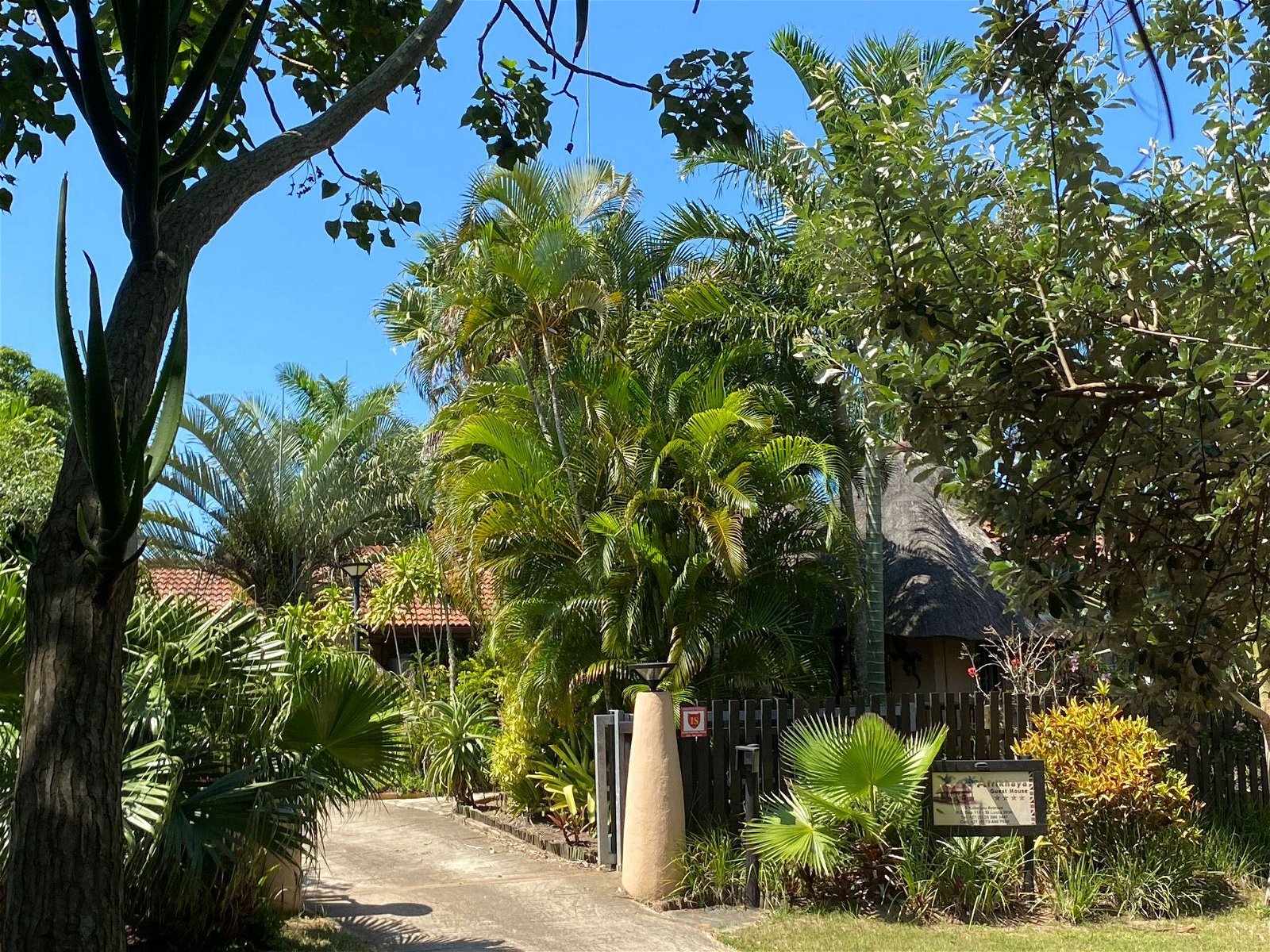 Einfahrt und Reetdachgebäude des Afrikhaya Guest House zwischen Palmen in St Lucia