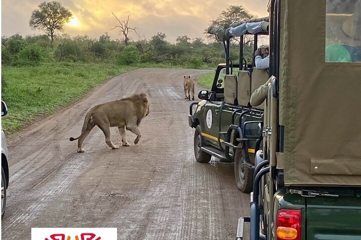 All-inclusive-Kruger-Safari, 2 Tage, ab Nelspruit