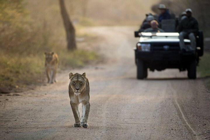 Сафари в Greater Kruger, Kapama Game Lodge и Панорамный маршрут, 4 дня